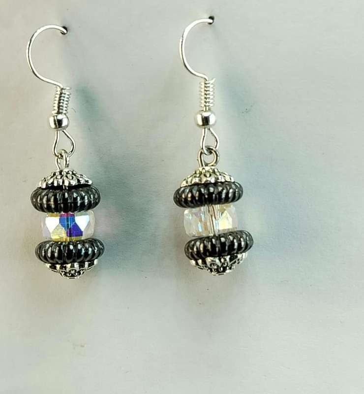 WL elegant earrings