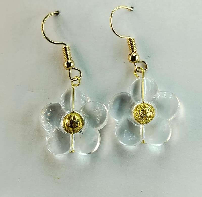 WL elegant earrings