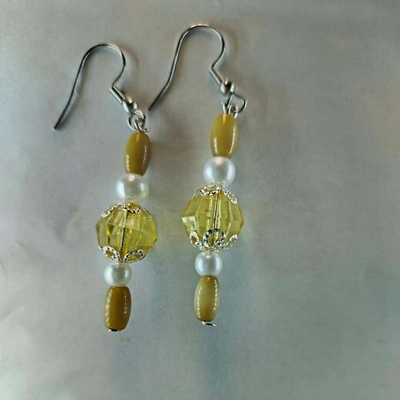 WL elegant earrings