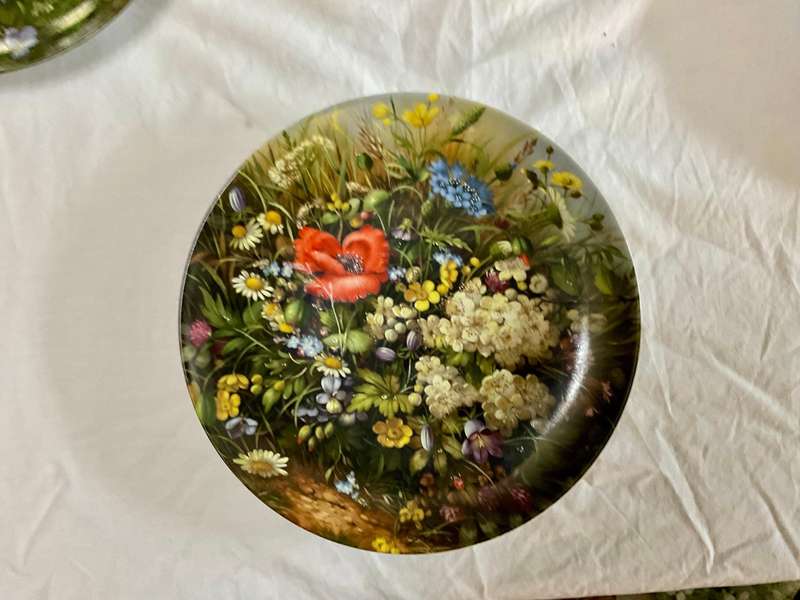 Vintage Collector Plate Set  Fürstenberg "Wilde Schönheiten" (6x German Botanical Porcelain)