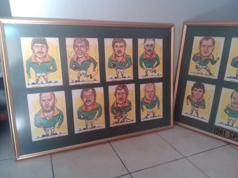 1981 Springboks Rugby Team  Framed Caricature Artwork Collection