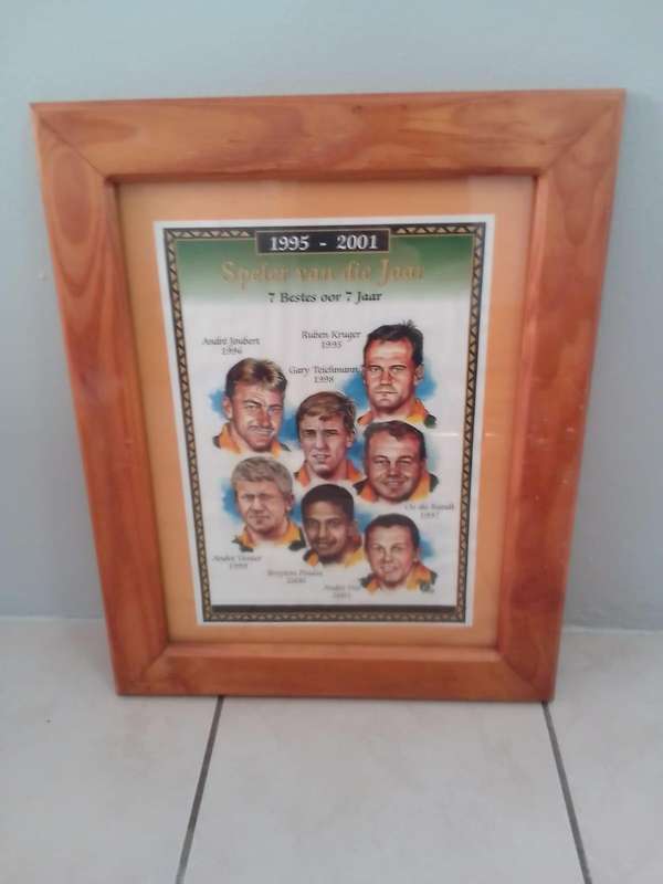 Springbok "Speler van die Jaar" Framed Tribute (19952001)