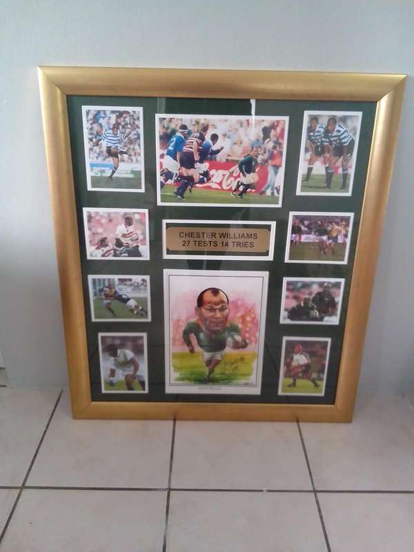  Chester Williams  Framed Rugby Tribute (27 Tests / 14 Tries) Springbok Legend