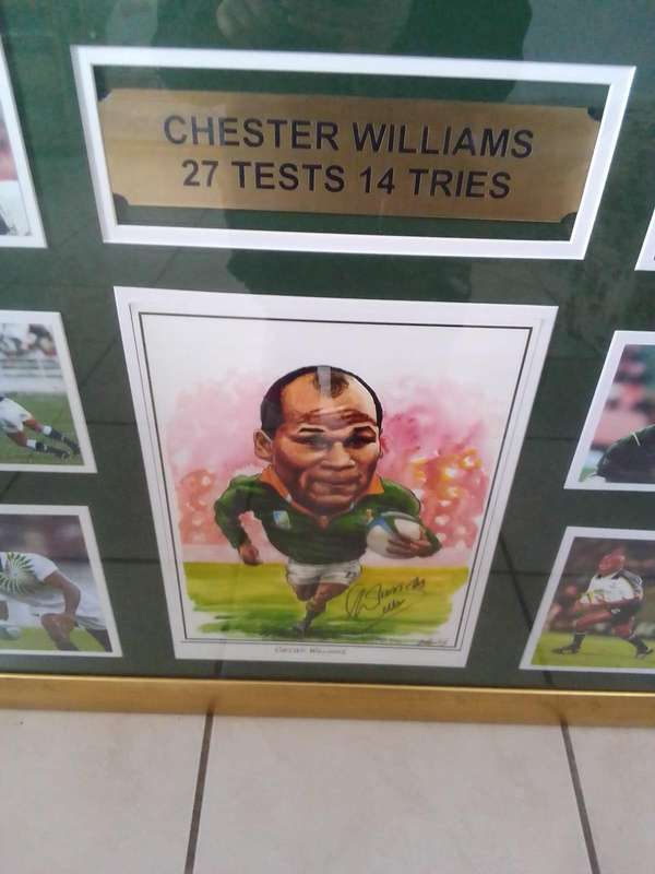  Chester Williams  Framed Rugby Tribute (27 Tests / 14 Tries) Springbok Legend