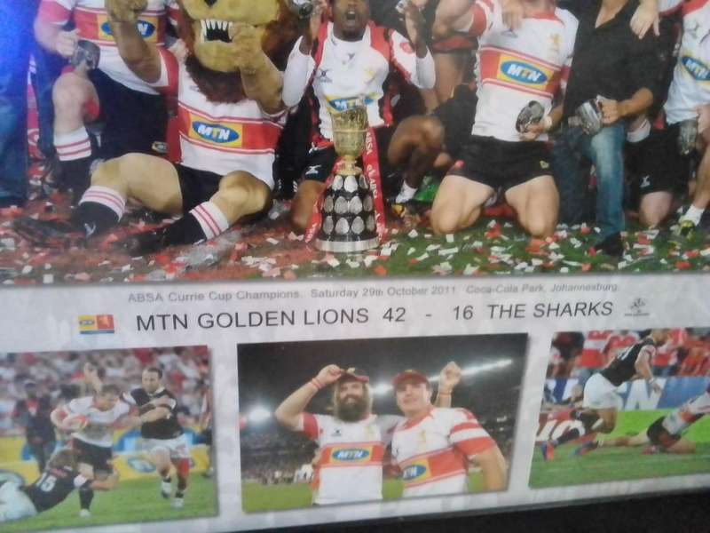  Framed MTN Golden Lions 2011 Currie Cup Champions Photo Collage  Rare Rugby Memorabilia