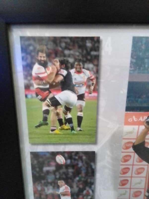  Framed MTN Golden Lions 2011 Currie Cup Champions Photo Collage  Rare Rugby Memorabilia