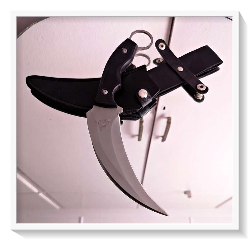 A Bad Ass Fixed Double Edge Curved Steel Blade GERBER Tactical Knife with Pouch - Claw Knife NEW