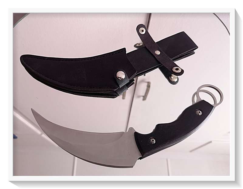 A Bad Ass Fixed Double Edge Curved Steel Blade GERBER Tactical Knife with Pouch - Claw Knife NEW