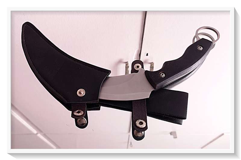 A Bad Ass Fixed Double Edge Curved Steel Blade GERBER Tactical Knife with Pouch - Claw Knife NEW