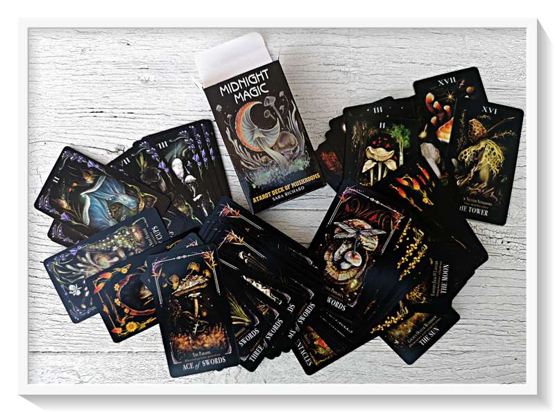 A Tarot Deck of Mushrooms - Meticulous illustrations of All Mystical Mushrooms - Very Exotic Cards