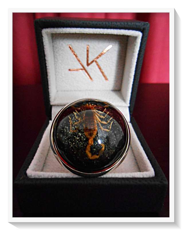 An Extraordinary Chunky Domed Scorpion Ring (Adjustable) in Clear Resin for Him/Her *R35 Shipping*