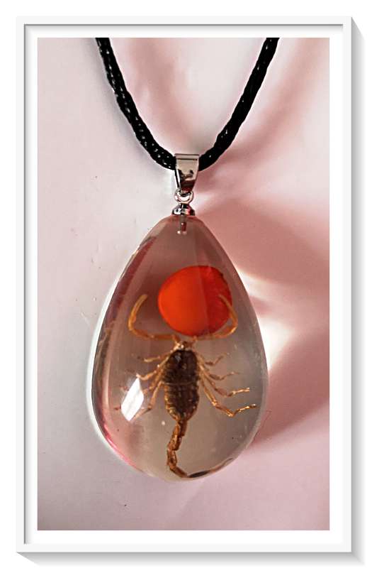 Authentic Genuine Scorpion in Clear Teardrop Shaped Resin Pendant ***
