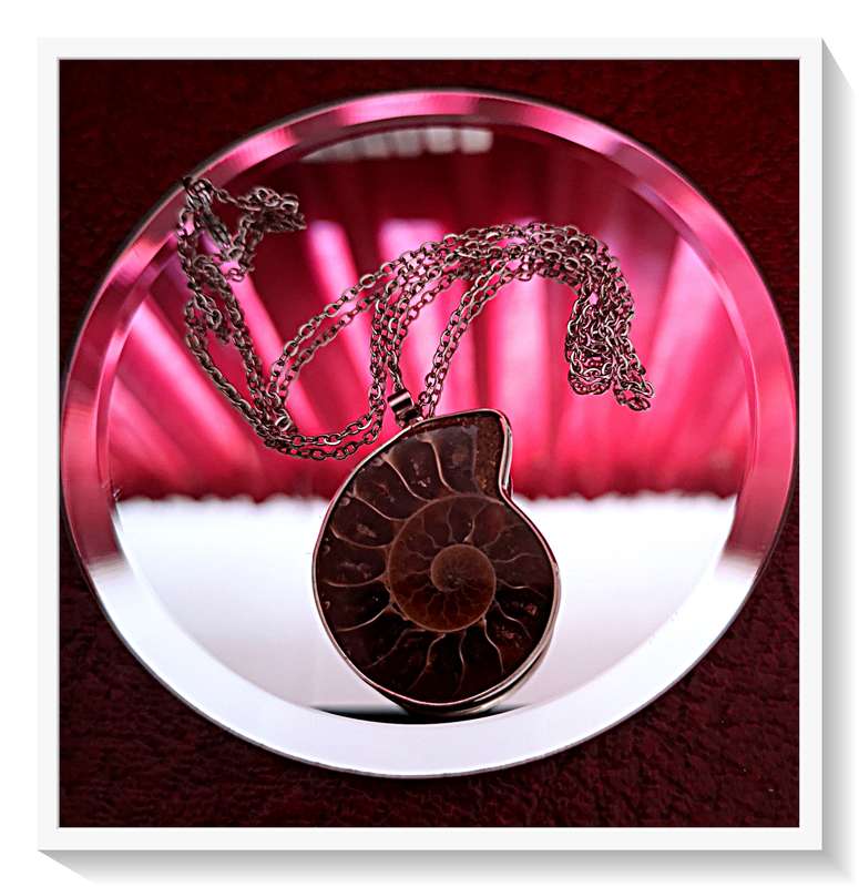 Beautifully Polished Ammonite Fossil Pendant with Metal Chain - Size: 35MM Diameter***