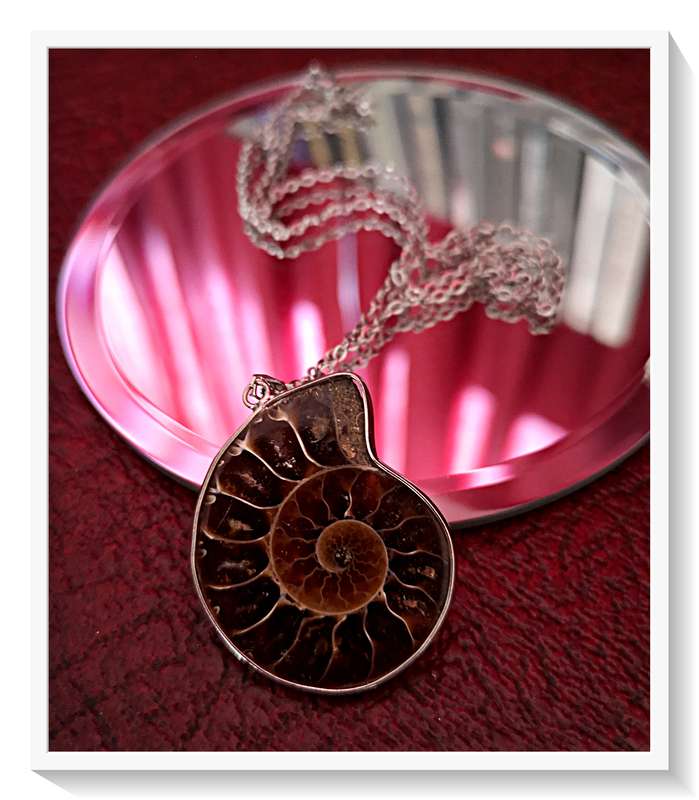 Beautifully Polished Ammonite Fossil Pendant with Metal Chain - Size: 35MM Diameter***