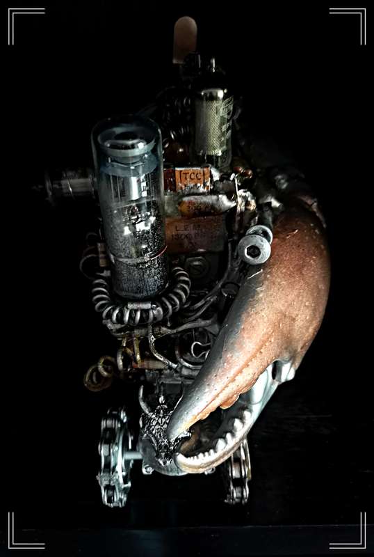 Deadly Decorum Presents: The Crab Charisma Automobile by Human-Centred Artist Ras Steyn [MFA]