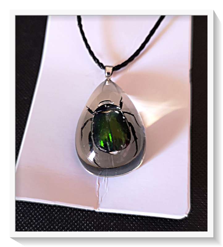 Genuine Metallic Green Beetle in Teardrop Resin Pendant Necklace for Him or Her
