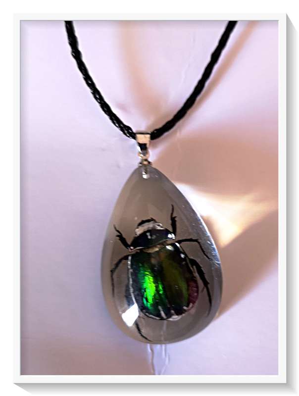 Genuine Metallic Green Beetle in Teardrop Resin Pendant Necklace for Him or Her