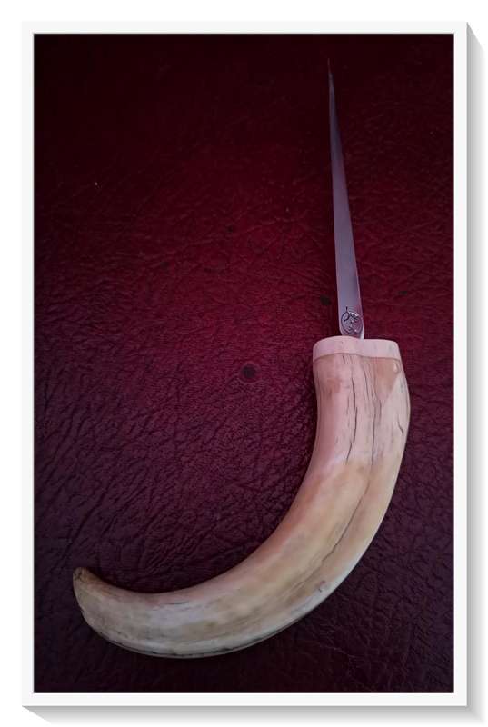 Genuine Vintage Wharthog Letter Opener - Well Rounded off and Smooth - Tusk Length alone is 200MM