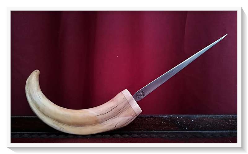 Genuine Vintage Wharthog Letter Opener - Well Rounded off and Smooth - Tusk Length alone is 200MM