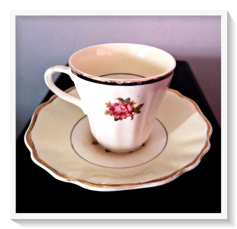 A Gorgeous Little Floral Teacup with Saucer by J and G Meakin - Made in England