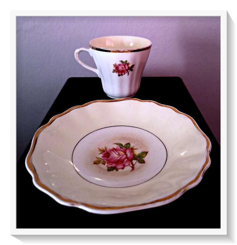 A Gorgeous Little Floral Teacup with Saucer by J and G Meakin - Made in England