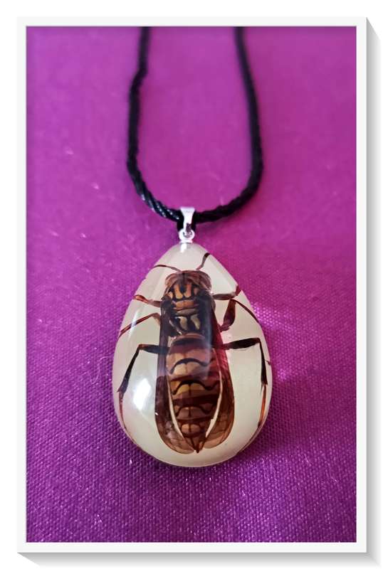 Large Exotic Hornet Cast-trapped in clear Resin Teardrop Pendant for Him or Her ***R35 Shipping***