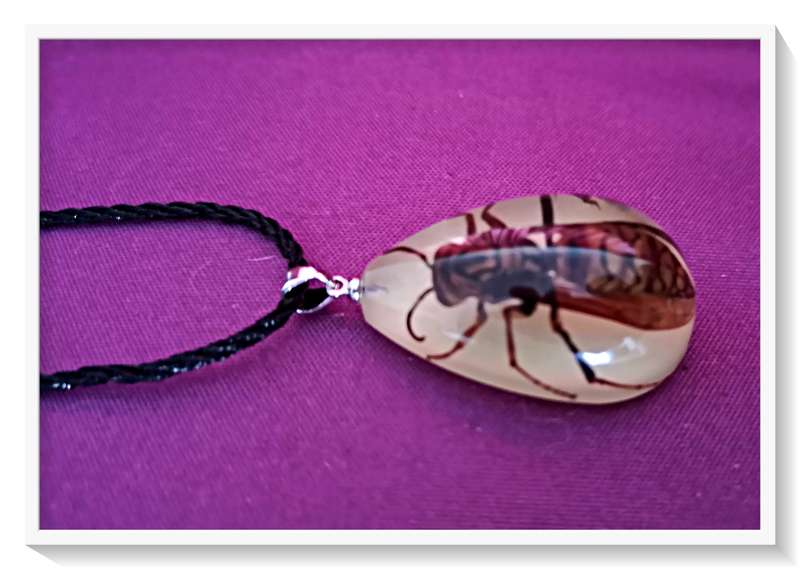 Large Exotic Hornet Cast-trapped in clear Resin Teardrop Pendant for Him or Her ***R35 Shipping***