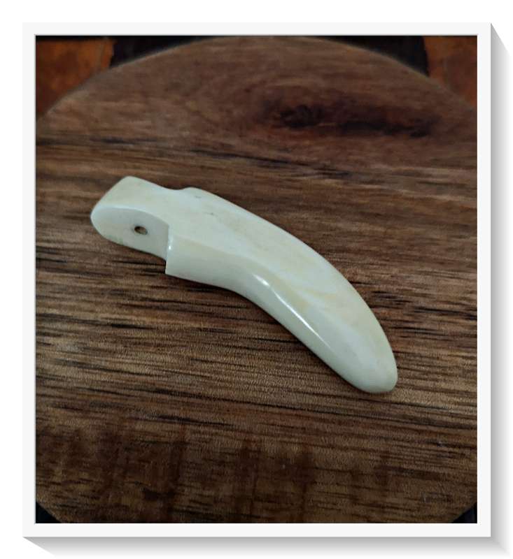 Natural Tribal Tooth Pendant Carved from Warthog Tusk and Polished 50mm by 15mm - Unique Gift*