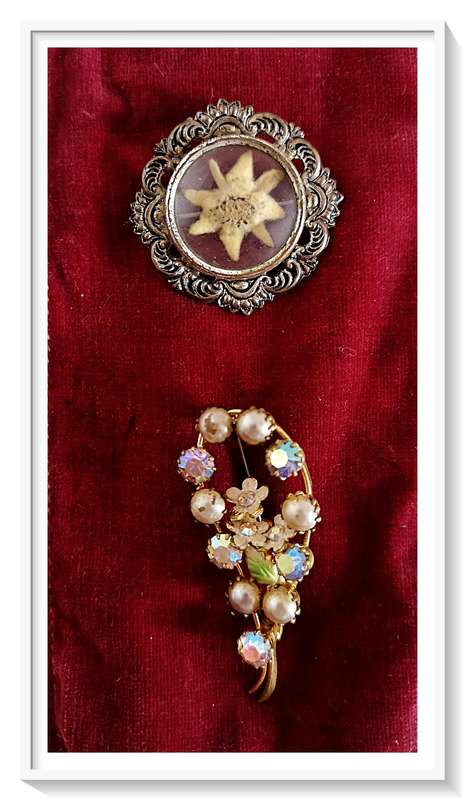 Sewe Jaartjie Pressed Flower Vintage Brooch Plus Old Flower Themed Rhinestone Brooch ***