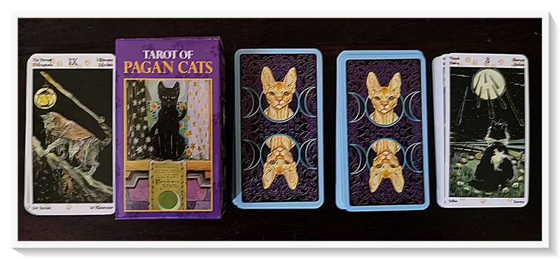 TAROT of PAGAN CATS - A Whimsical Collection of Feline Cards Gorgeous Variations - Condition: New