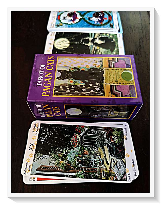 TAROT of PAGAN CATS - A Whimsical Collection of Feline Cards Gorgeous Variations - Condition: New