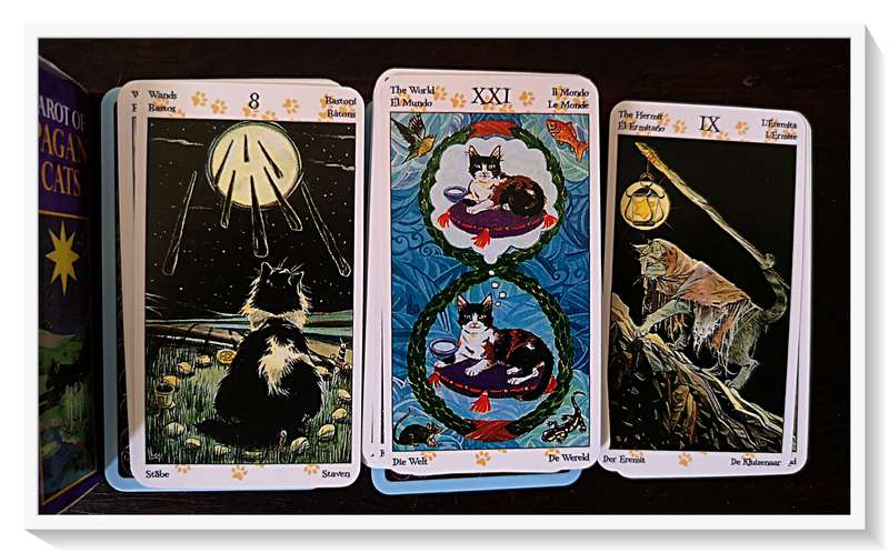 TAROT of PAGAN CATS - A Whimsical Collection of Feline Cards Gorgeous Variations - Condition: New