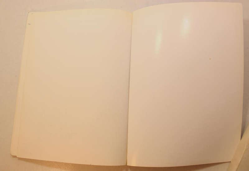 An Airman Looks Back by Ray Pike Softcover Book
