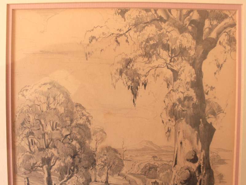 Framed Original Sketch "Country Road and Gum Tree" by Douglas Pratt.
