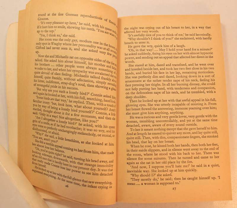 Lady Chatterley's Lover by D H Lawrence, Softcover Book Penguin 1983 Edition