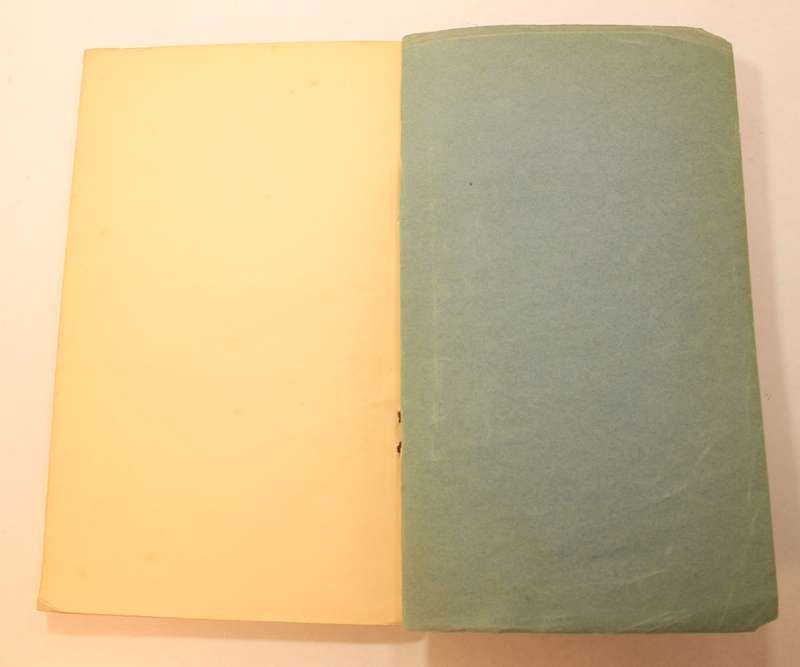 Documents Concerning German Polish Relations 1939 (British Foreign Affairs) Softcover Book