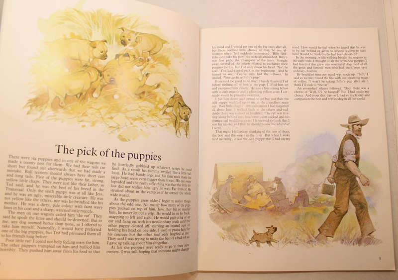 Jock Of The Bushveld by Phillida Brooke Simons Softcover Book