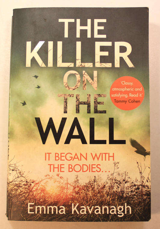 The Killer On The Wall by Emma Kavanagh Softcover Book
