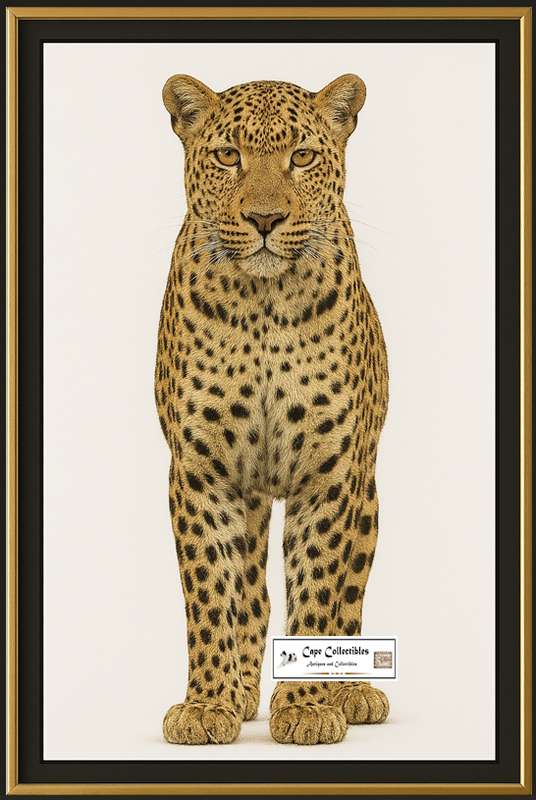 Leopard Front On View Digital Download Image For Printing and Framing