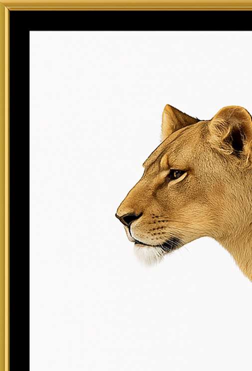 Lioness Side View Digital Download Image For Printing and Framing