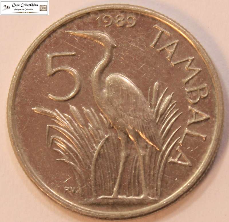 Malawi 5 Tambala 1989 Coin Circulated