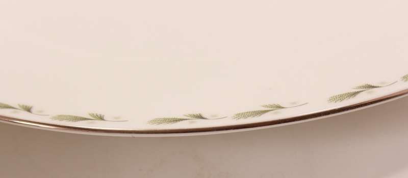 Mayfair Pair of Bone China Dinner Plates, Platinum Trim Edging