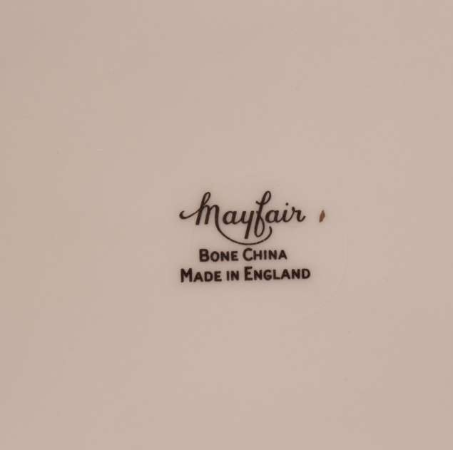 Mayfair Pair of Bone China Dinner Plates, Platinum Trim Edging