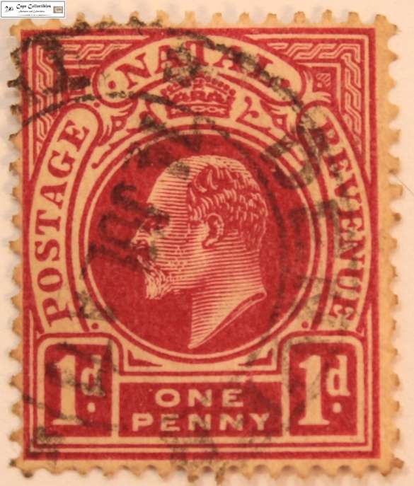 Natal 1 Penny 1902 Edward VII Stamp (Scott 82)