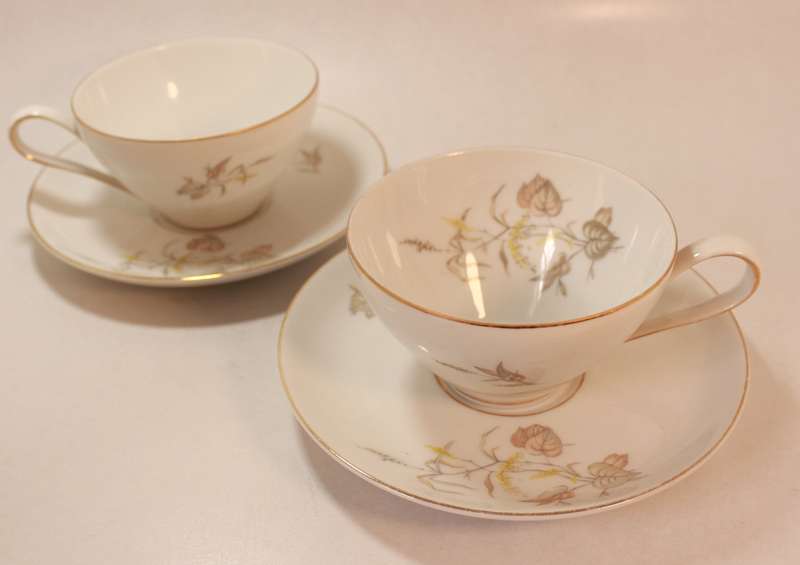 Pair of Rosenthal Krister Bone China Tea Cup and Saucer