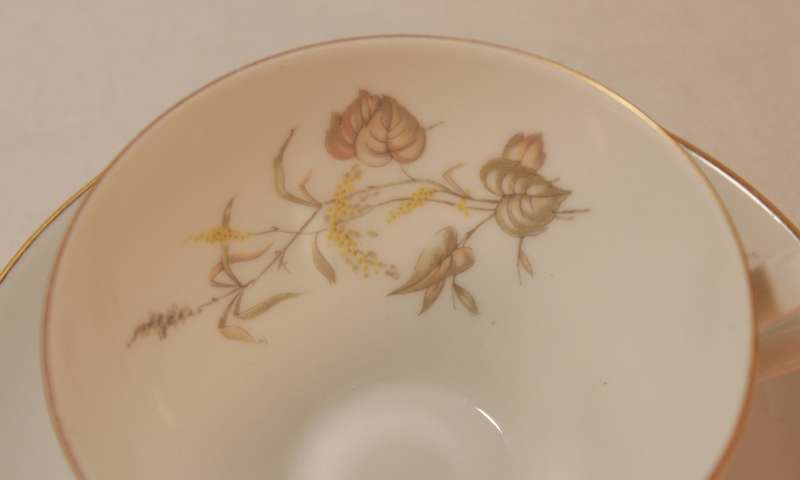 Pair of Rosenthal Krister Bone China Tea Cup and Saucer