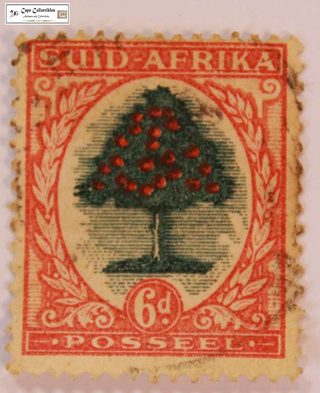 South Africa 6 Pence 1926 Orange Tree Stamp (Scott 25)