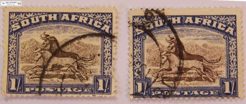 South Africa 2 x 1 Shilling 1952 Wildebeest Stamps English (Scott 62)