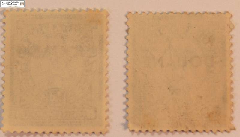 South Africa 2 x 1/2 Penny 1943 Springbok Stamp Douane Overstamp (Scott 98)