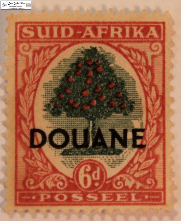 South Africa 6 Pence 1950 Orange Tree Stamp Douane Overstamp (Scott 61)